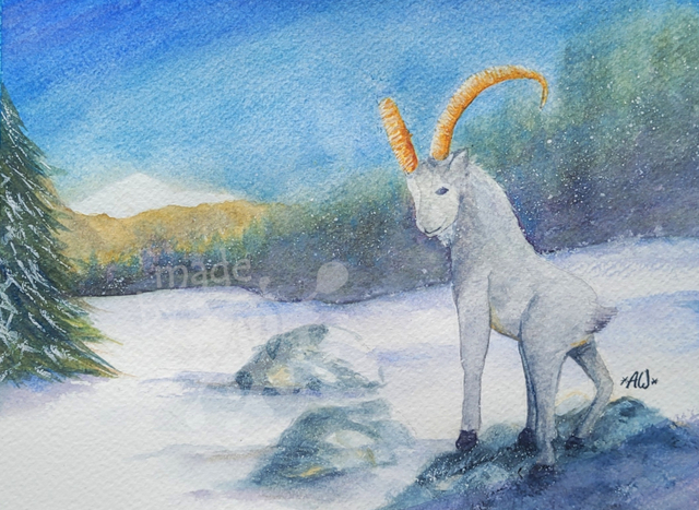 Steinbock im Langental bei Wolkenstein