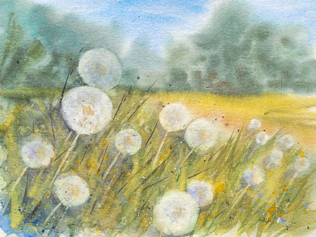 Pusteblumenfeld